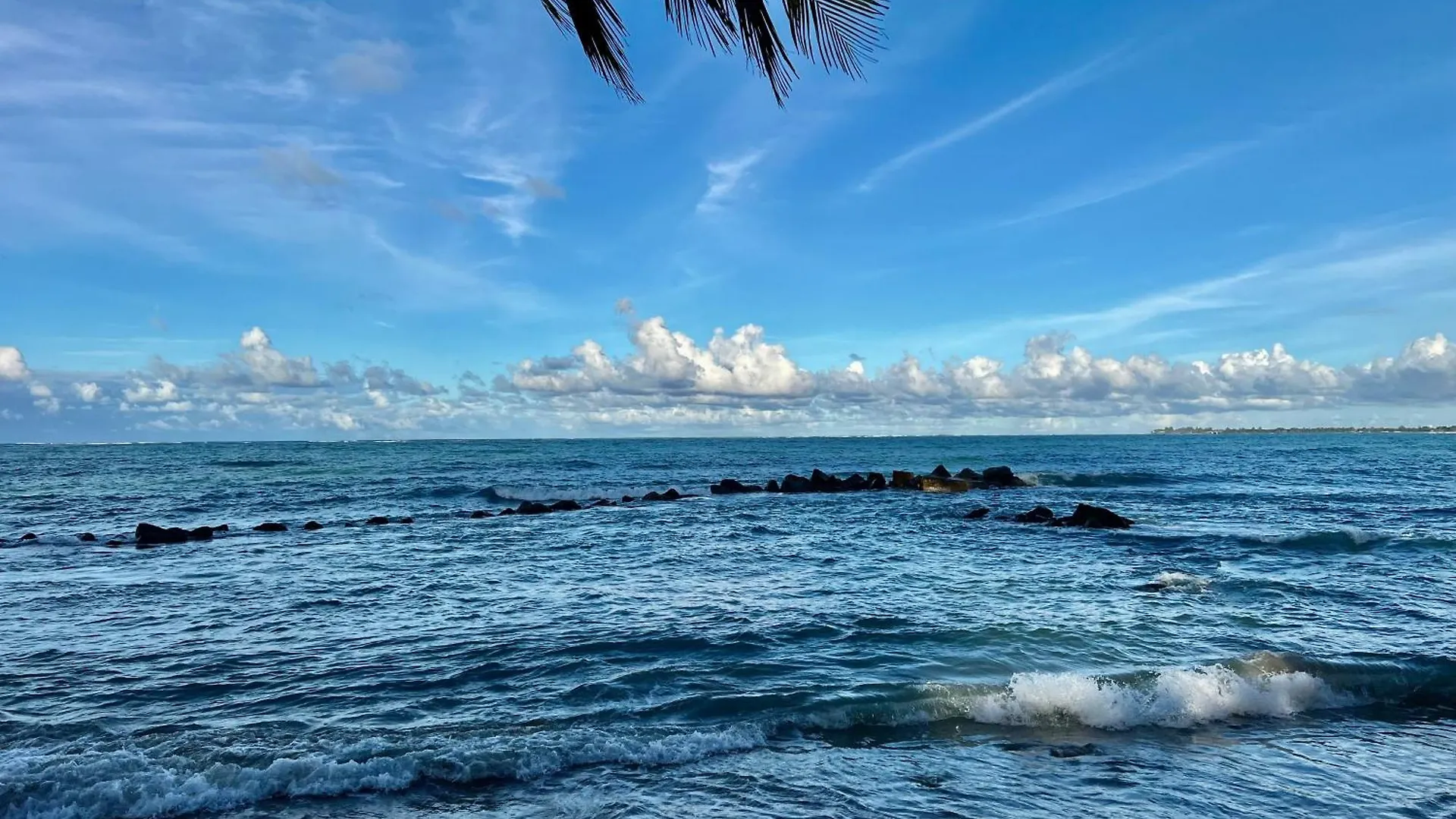 Apartment Modern & Cozy Studio In The Heart Of Isla Verde San Juan