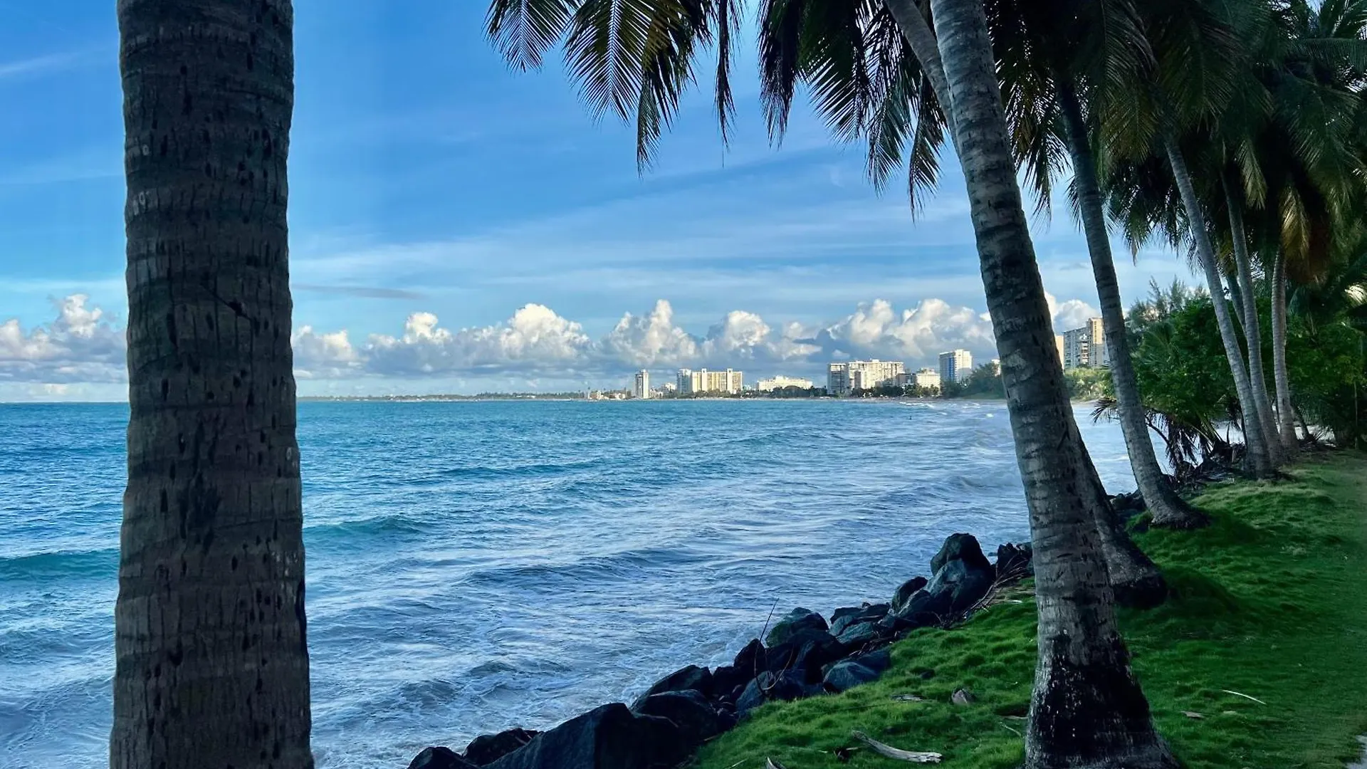 Modern & Cozy Studio In The Heart Of Isla Verde San Juan Puerto Rico